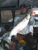 Capt_Jay_big_hen.12.5.03.jpg (33156 bytes)