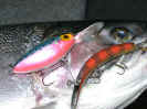 11.25.04_Hot_Lures.jpg (34535 bytes)